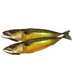 Mackerel Cold Smoked
