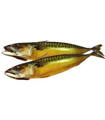 Mackerel Cold Smoked