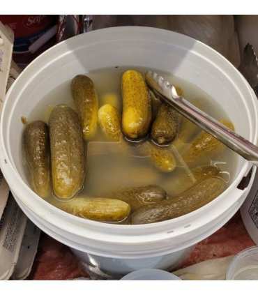 Sour Pickles in Brine